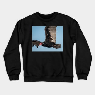 Turkey Vulture Up Close Crewneck Sweatshirt